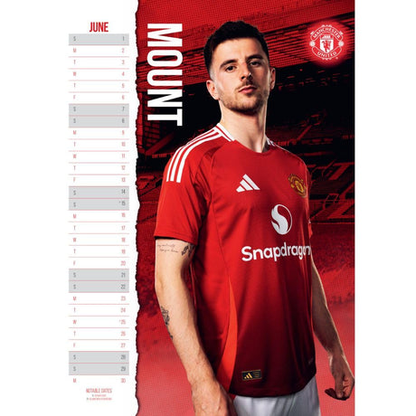 Manchester United FC 2025 A3 Wall Calendar: 2 - Calendars & Planners By Manchester United