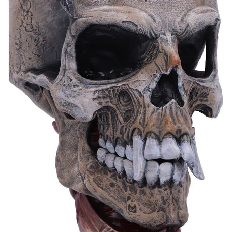 Metallica Pushead Skull Figure 23.5cm: 6 - Figures & Collectables By Metallica