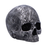 Mind Map Skull Head 15cm: 2 - Figures & Collectables By Gift Moments