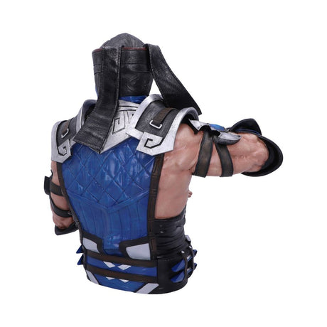 Sub-Zero Mortal Kombat Bust 29cm: 5 - Figures & Collectables By Mortal Kombat