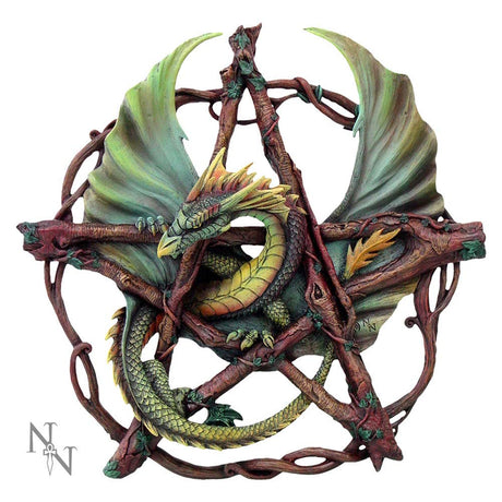 Anne Stokes Green Forest Pentagram Dragon Wall Plaque Default Title - Wall Hanging Sculptures at Gift Moments