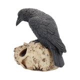 Raven Remains Figurine Crow Skull Gothic Ornament - Figures & Collectables at Gift Moments