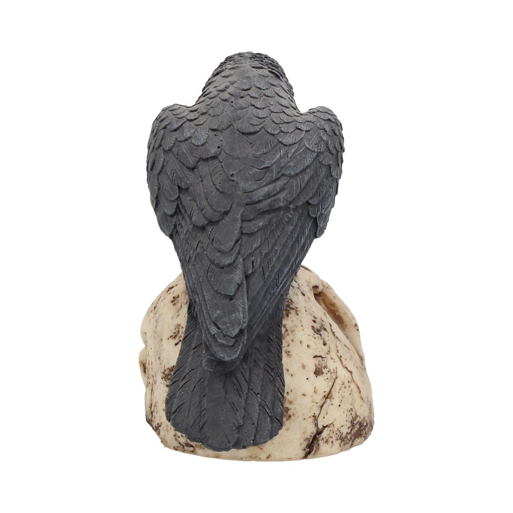 Raven Remains Figurine Crow Skull Gothic Ornament - Figures & Collectables at Gift Moments