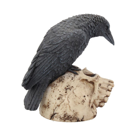 Raven Remains Figurine Crow Skull Gothic Ornament - Figures & Collectables at Gift Moments