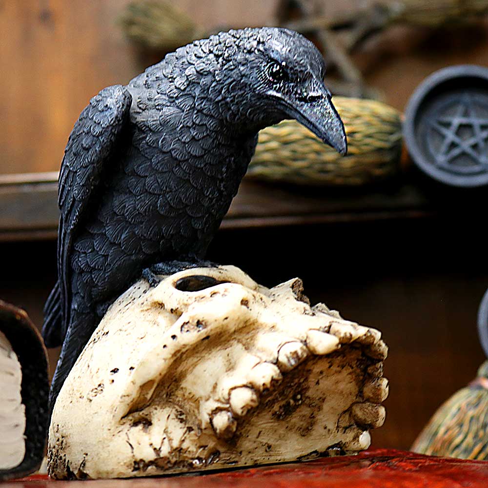 Raven Remains Figurine Crow Skull Gothic Ornament - Figures & Collectables at Gift Moments