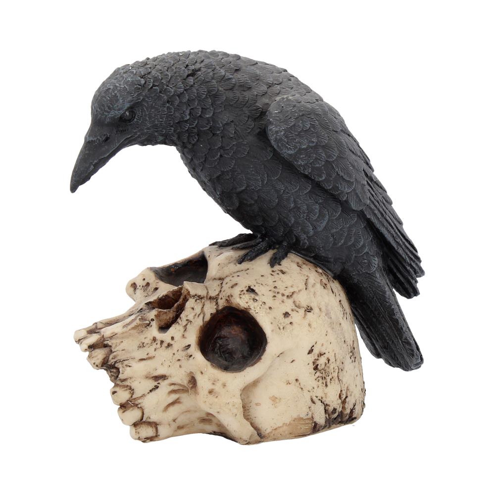 Raven Remains Figurine Crow Skull Gothic Ornament Default Title - Figures & Collectables at Gift Moments