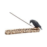 Raven Perched On A Skull Incense Holder 25cm - Incense Holders at Gift Moments