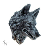 Menacing Grey Snarling Wolf Wall Plaque Default Title - Wall Hanging Sculptures at Gift Moments