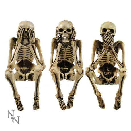 Three Wise Skeletons Figurine Skeleton Ornaments Default Title - Figures & Collectables at Gift Moments