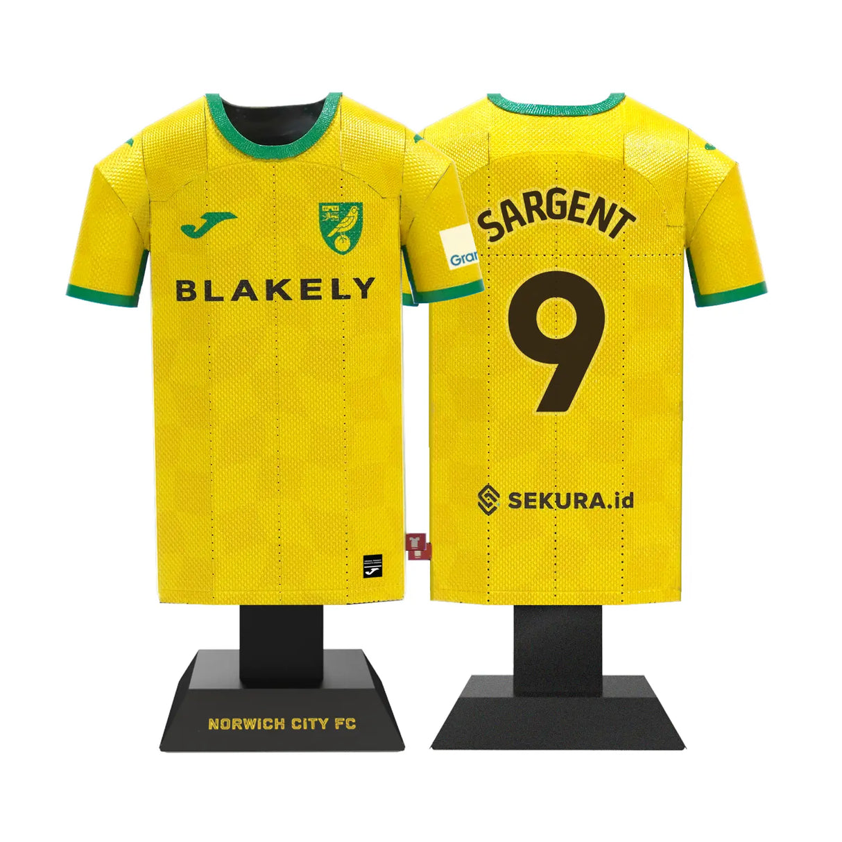 Norwich City 24/25 Metal Home Shirt: 3 - Display Kit By Norwich City