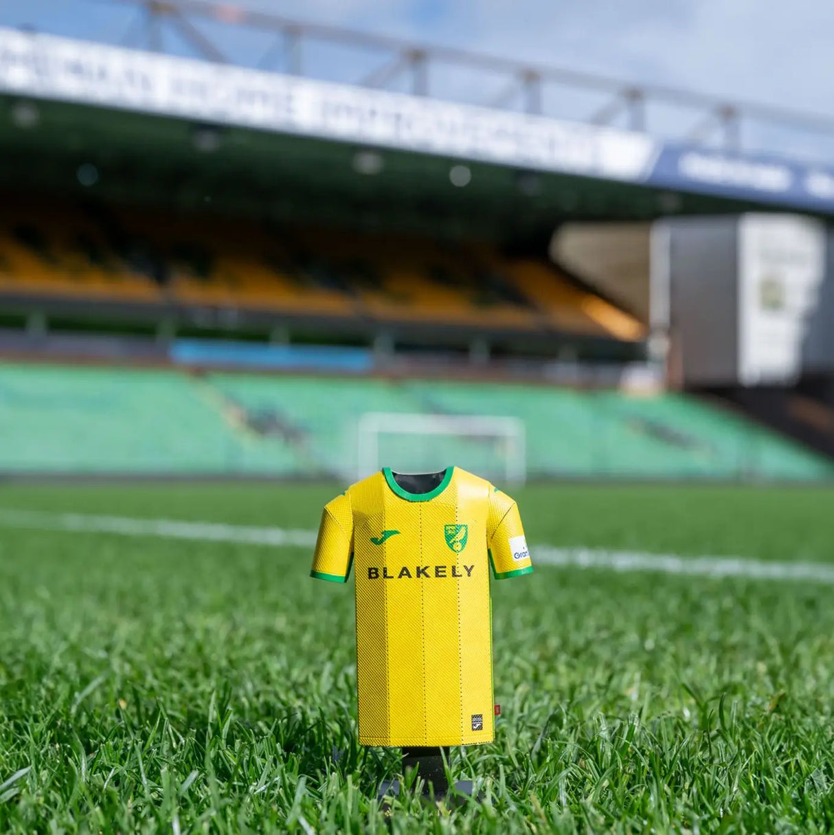 Norwich City 24/25 Metal Home Shirt: 4 - Display Kit By Norwich City