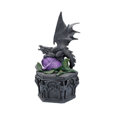 Anne Stokes Dragon Beauty Valentine Box - Boxes at Gift Moments