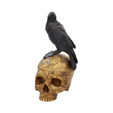 Gothic Raven Skull Pentagram Trinket Box - Boxes at Gift Moments