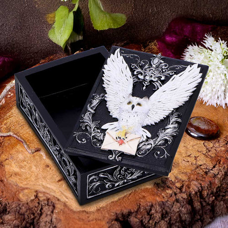 Owl Messenger Trinket Box: 1 - Boxes By NN Designs