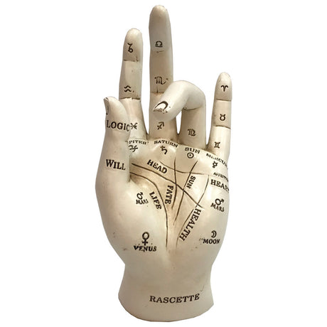 Palmistry Chriomancy Fortune Telling Hand Figurine: 2 - Figures & Collectables By Gift Moments