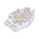 Palmist’s Guide White Chiromancy Hands Candle Holder: 3 - Candles & Holders By Gift Moments