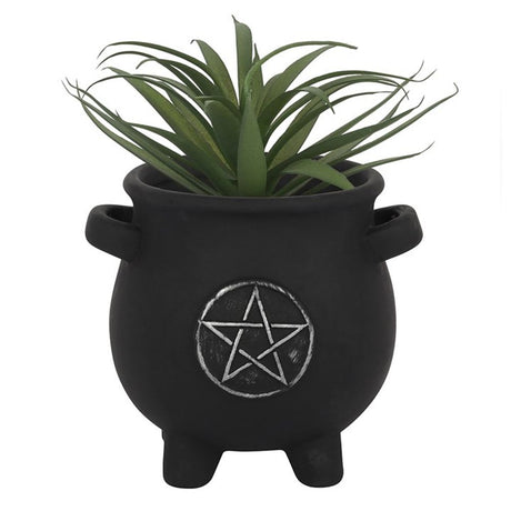 Pentagram Cauldron Plant Pot: 1 - Pots & Planters By Gift Moments