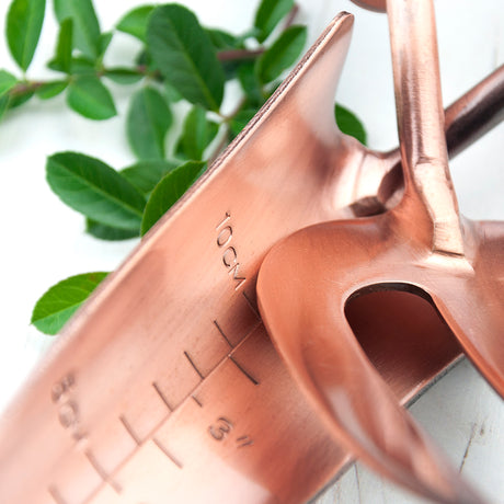 Elegant Personalised Luxe Copper Trowel and Fork Set - Tools at Gift Moments