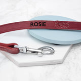 Personalised Classic Red Leather Dog Lead - Pet Products at Gift Moments