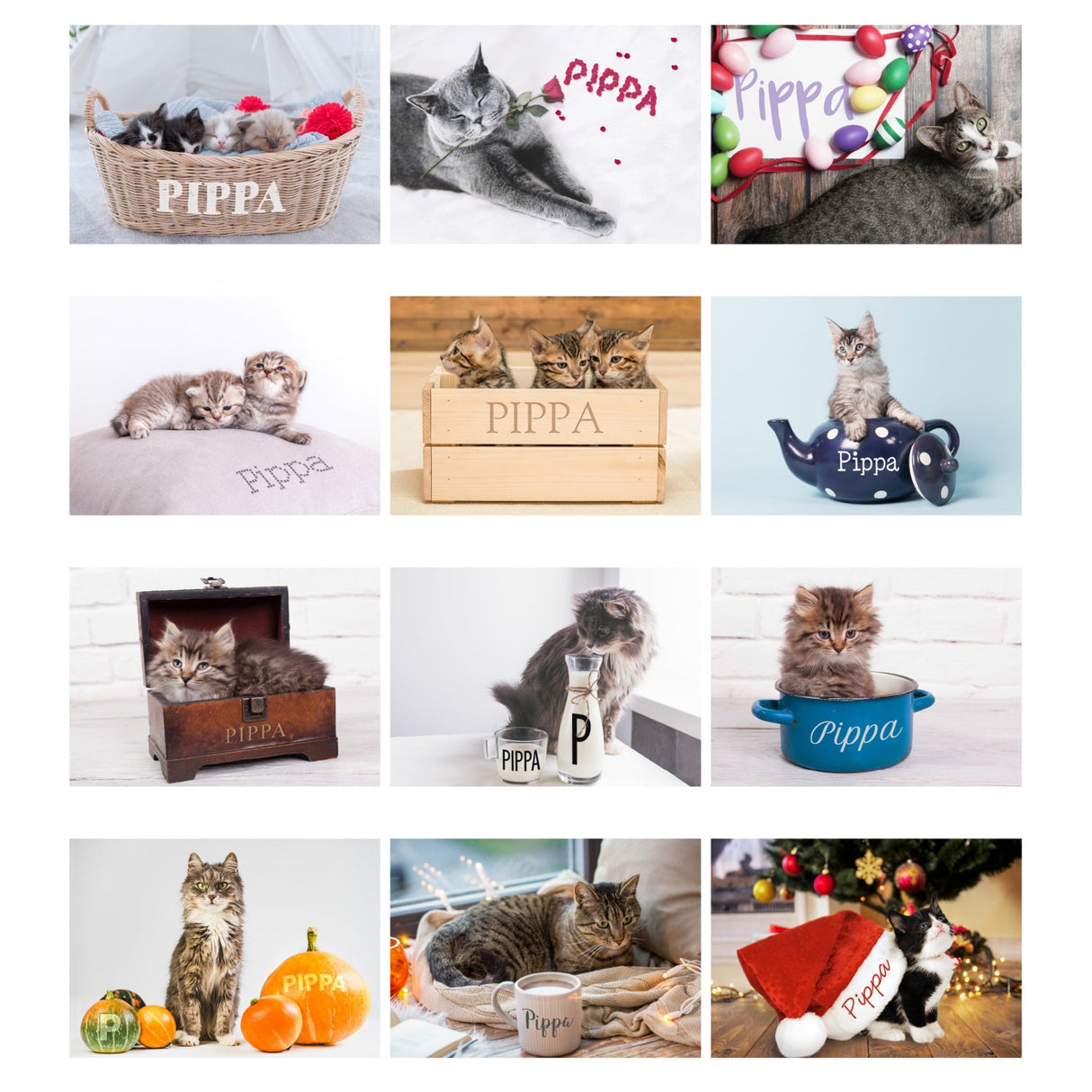 Personalised A4 Cats & Kittens Calendar: 6 - Calendars & Planners By Gift Moments