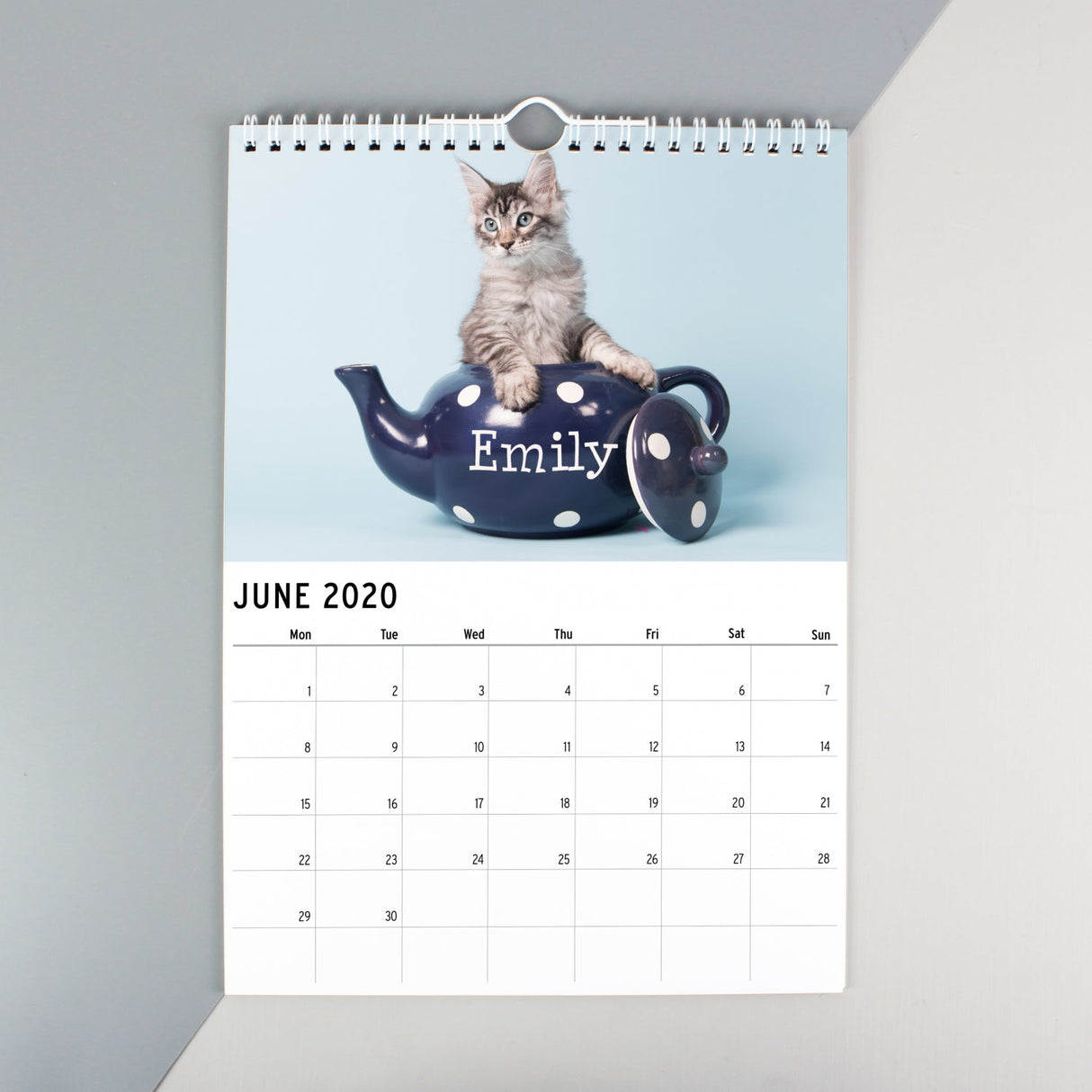 Personalised A4 Cats & Kittens Calendar: 2 - Calendars & Planners By Gift Moments