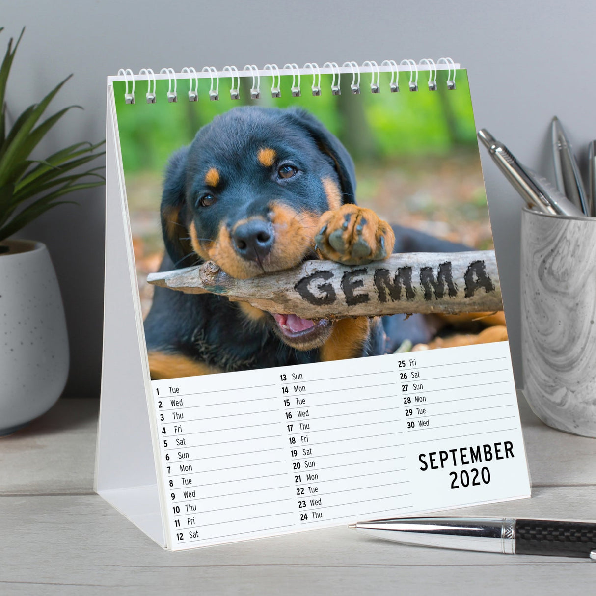 Personalised Barking Mad Dog Desk Calendar: 3 - Calendars & Planners By Gift Moments