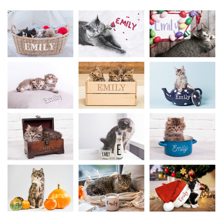 Personalised Cats and Kittens Desk Calendar: 6 - Calendars & Planners By Gift Moments