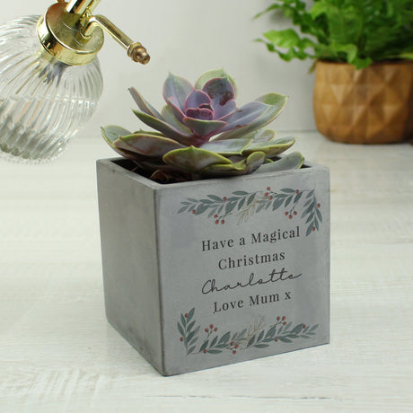 Personalised Christmas Foliage Concrete Planter: 4 - Pots & Planters By Gift Moments