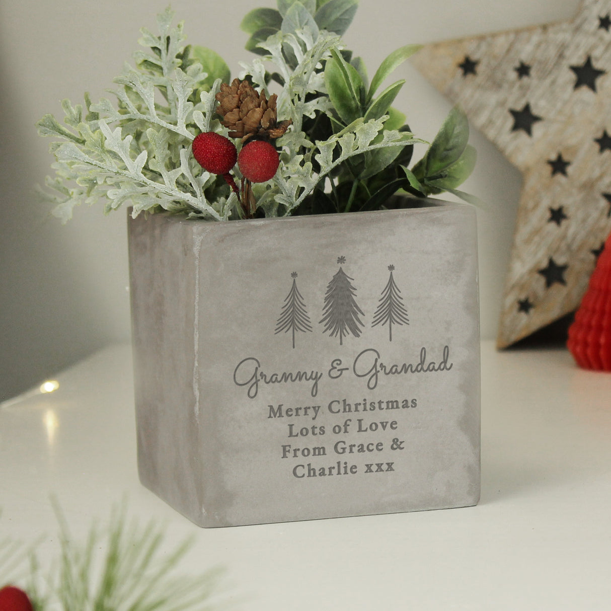 Personalised Christmas Tree Concrete Planter: 1 - Pots & Planters By Gift Moments