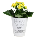 Personalised Ceramic Plant Pot: 7 - Pots & Planters By Gift Moments