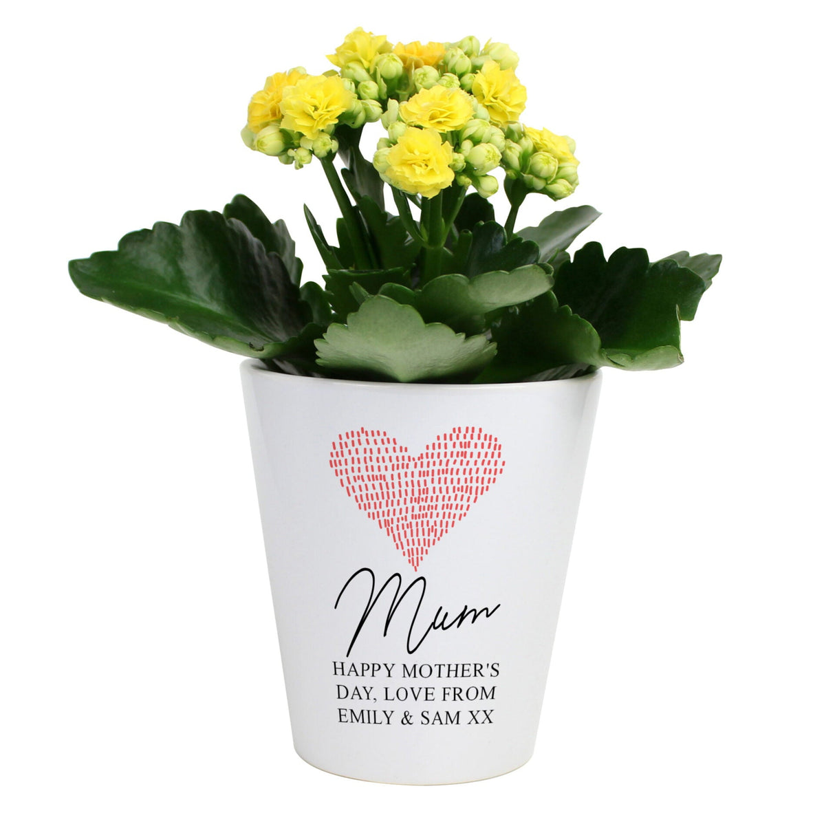 Personalised Heart-Shaped Ceramic Plant Pot: 4 - Pots & Planters By Gift Moments