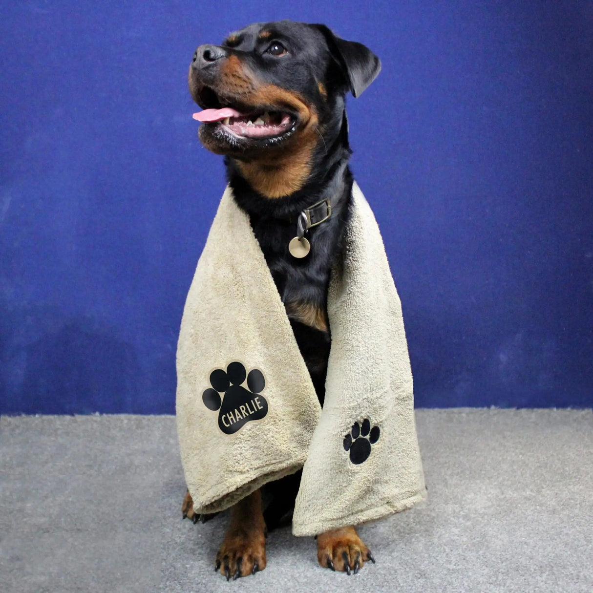 Personalised Microfibre Pet Towel with Paw Print: 5 - Pet Products By Gift Moments