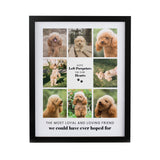 Personalised Pet Multi Photo Framed Prints: 11 - Framed Prints By Gift Moments