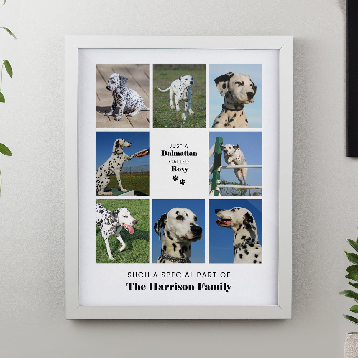 Personalised Pet Multi Photo Framed Prints: 9 - Framed Prints By Gift Moments