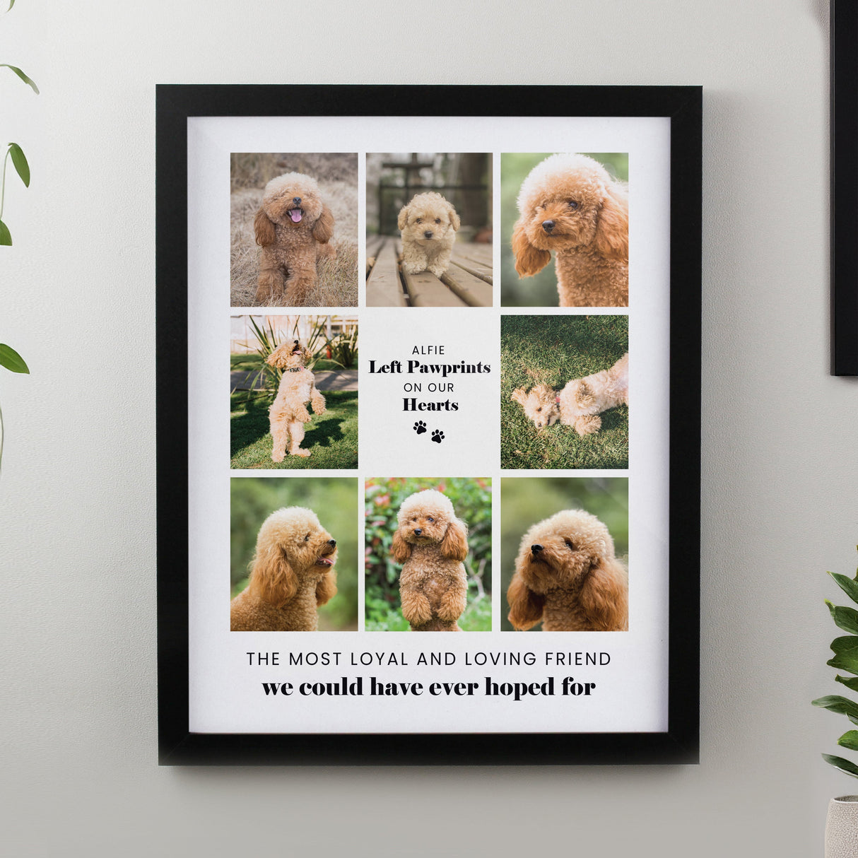 Personalised Pet Multi Photo Framed Prints: 8 - Framed Prints By Gift Moments