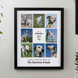 Personalised Pet Multi Photo Framed Prints: 2 - Black - Framed Prints By Gift Moments