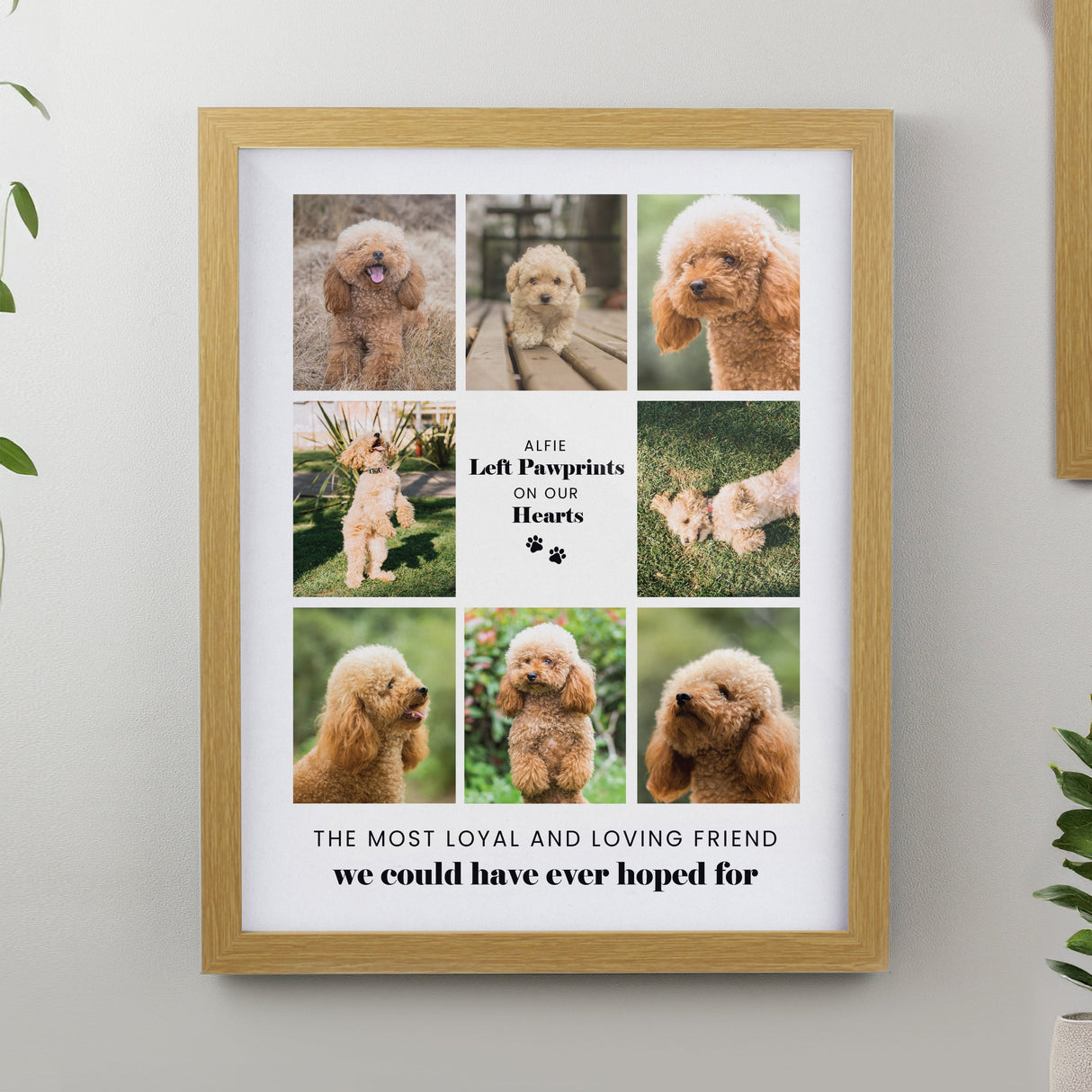 Personalised Pet Multi Photo Framed Prints: 1 - Wood - Framed Prints By Gift Moments