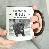 Personalised Pet Photo Black Handled Mug: 3 - Mugs By Gift Moments