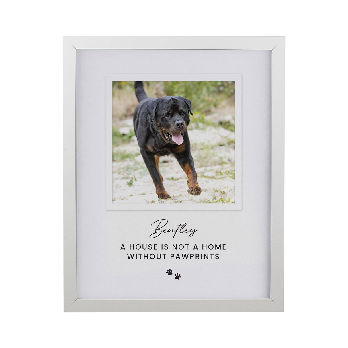 Personalised Pet Photo Framed Prints: 8 - Framed Prints By Gift Moments