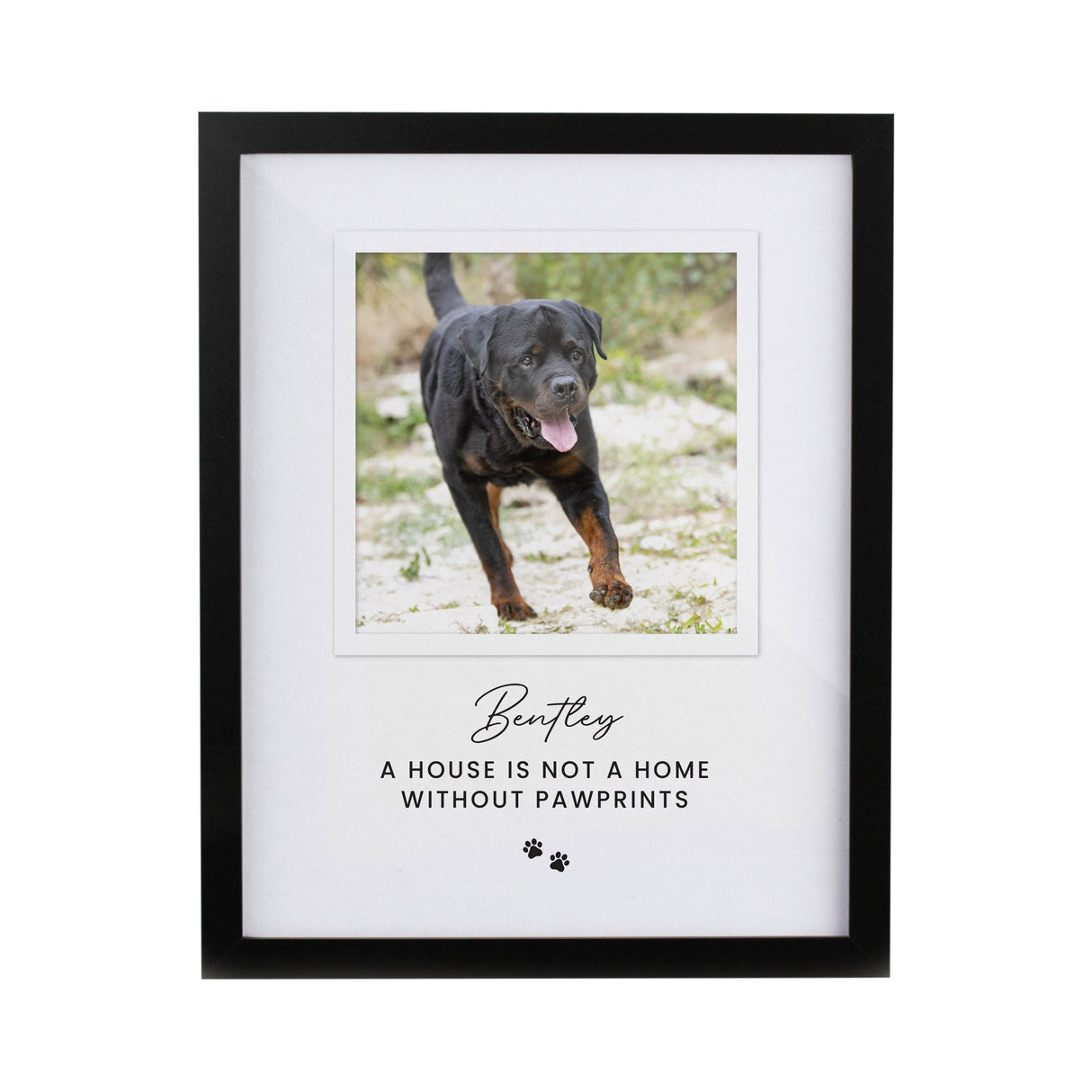 Personalised Pet Photo Framed Prints: 7 - Framed Prints By Gift Moments