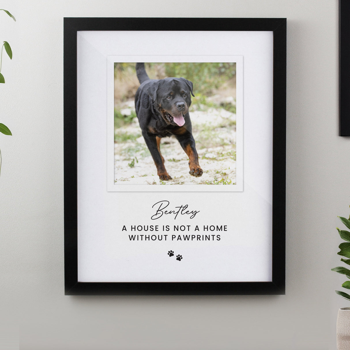 Personalised Pet Photo Framed Prints: 1 - Black - Framed Prints By Gift Moments