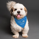 Personalised Prince Dog Bandana: 3 - Pet Products By Gift Moments