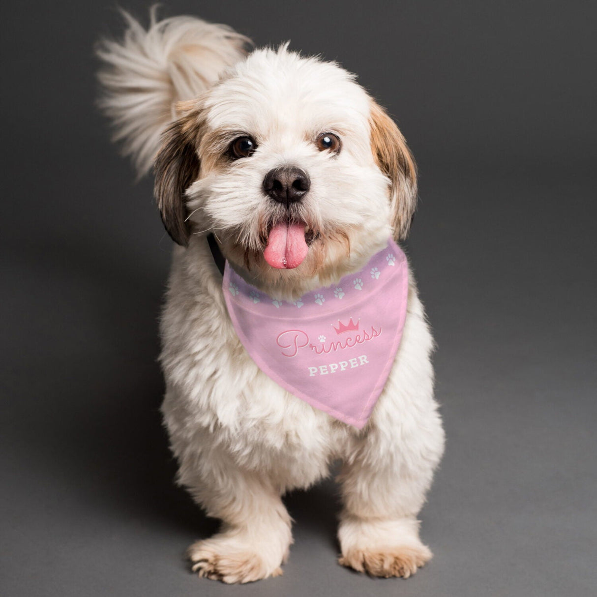 Personalised Princess Dog Bandana: 1 - Pet Products By Gift Moments