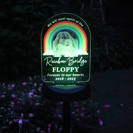 Personalised Solar Pet Memorial Light: 2 - Solar Lights By Gift Moments