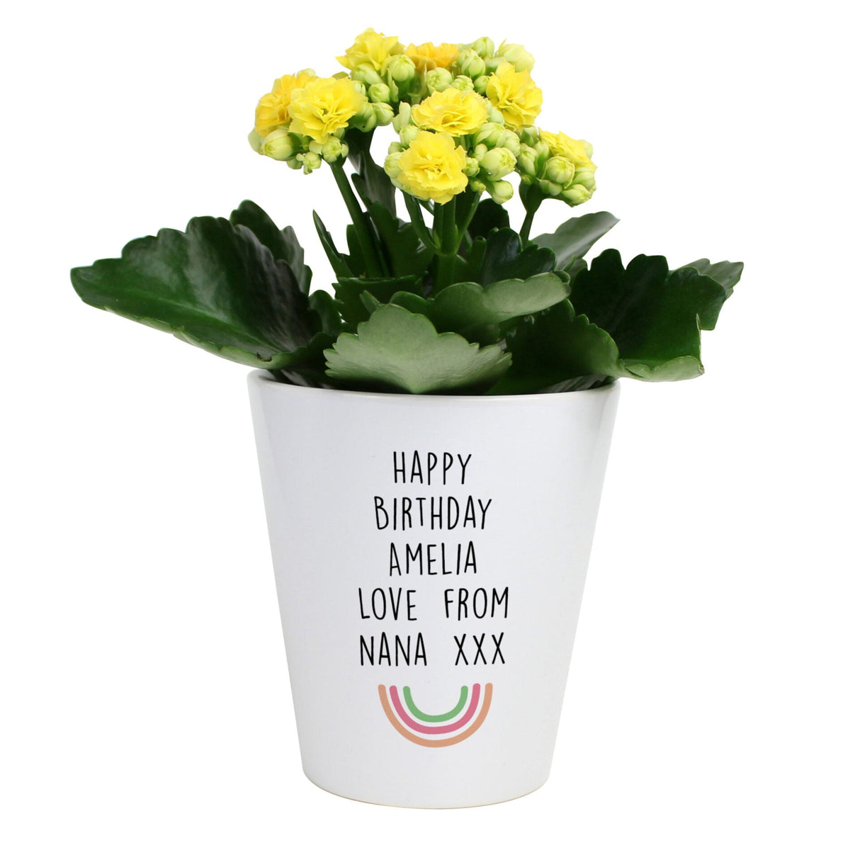 Personalised Rainbow Ceramic Plant Pot: 4 - Pots & Planters By Gift Moments