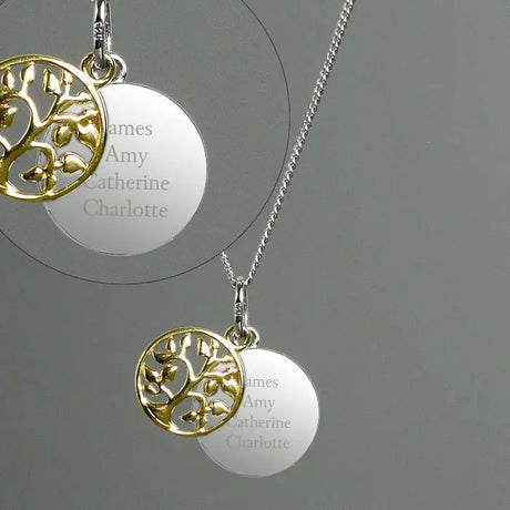 Personalised Sterling Silver & Gold Family Necklace: 2 - Necklaces By Gift Moments