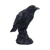 Raven Messenger Figurine 25cm: 5 - Figures & Collectables By Gift Moments