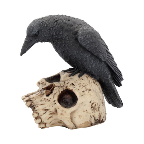 Raven Remains Figurine Crow Skull Gothic Ornament: 2 - Figures & Collectables By Gift Moments