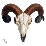 Realistic Wall Mounted Rams Skull: 2 - Wall Hanging Sculptures By Gift Moments