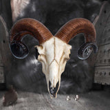 Realistic Wall Mounted Rams Skull: 1 - Wall Hanging Sculptures By Gift Moments